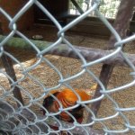 phoca_thumb_m_vp 2.den 18 Fotogalerie